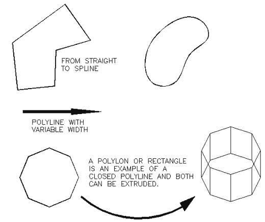 Polylines